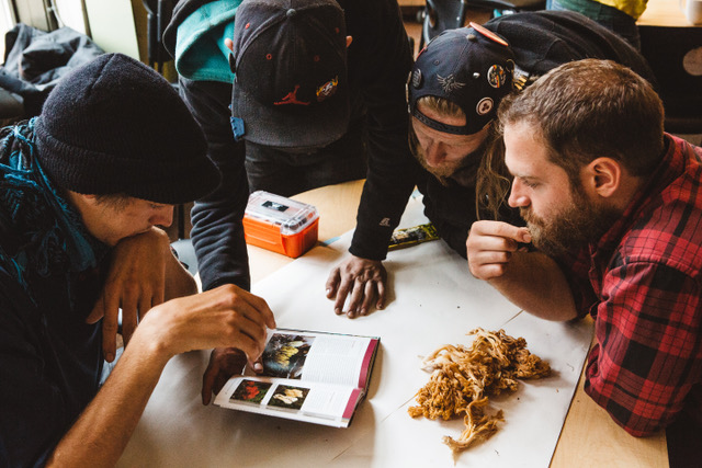 Four people sitting around a table reading one book