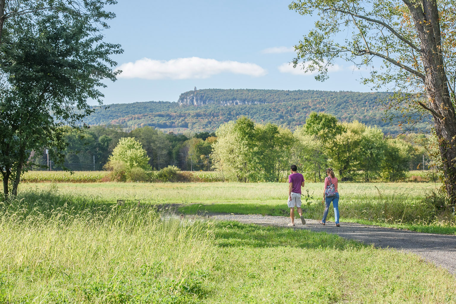 A couple walking in a large open area full of grass and trees