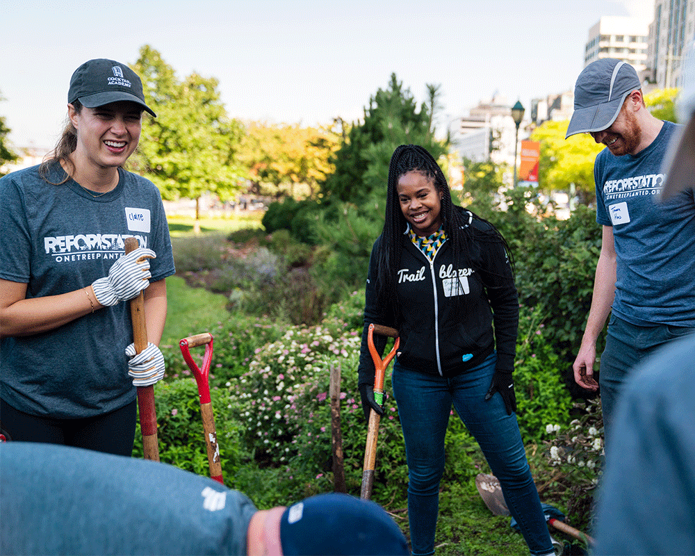 volunteers planting trees 