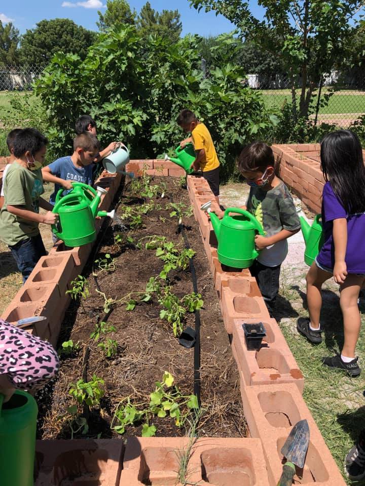 Youth Volunteers at Community Gardens of Tucson