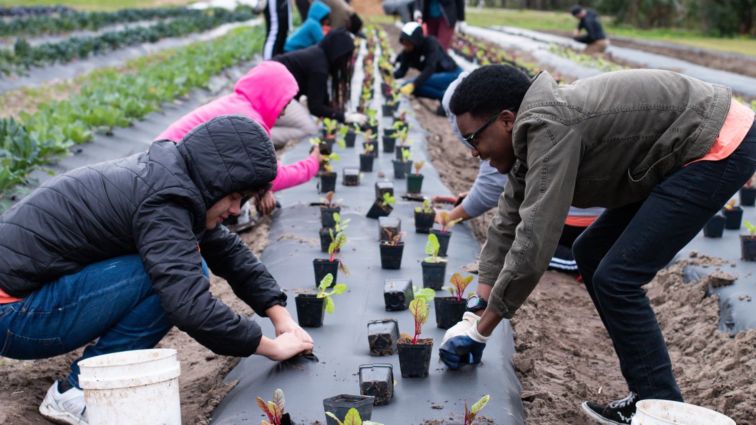 Grow Dat Youth Farm Volunteers