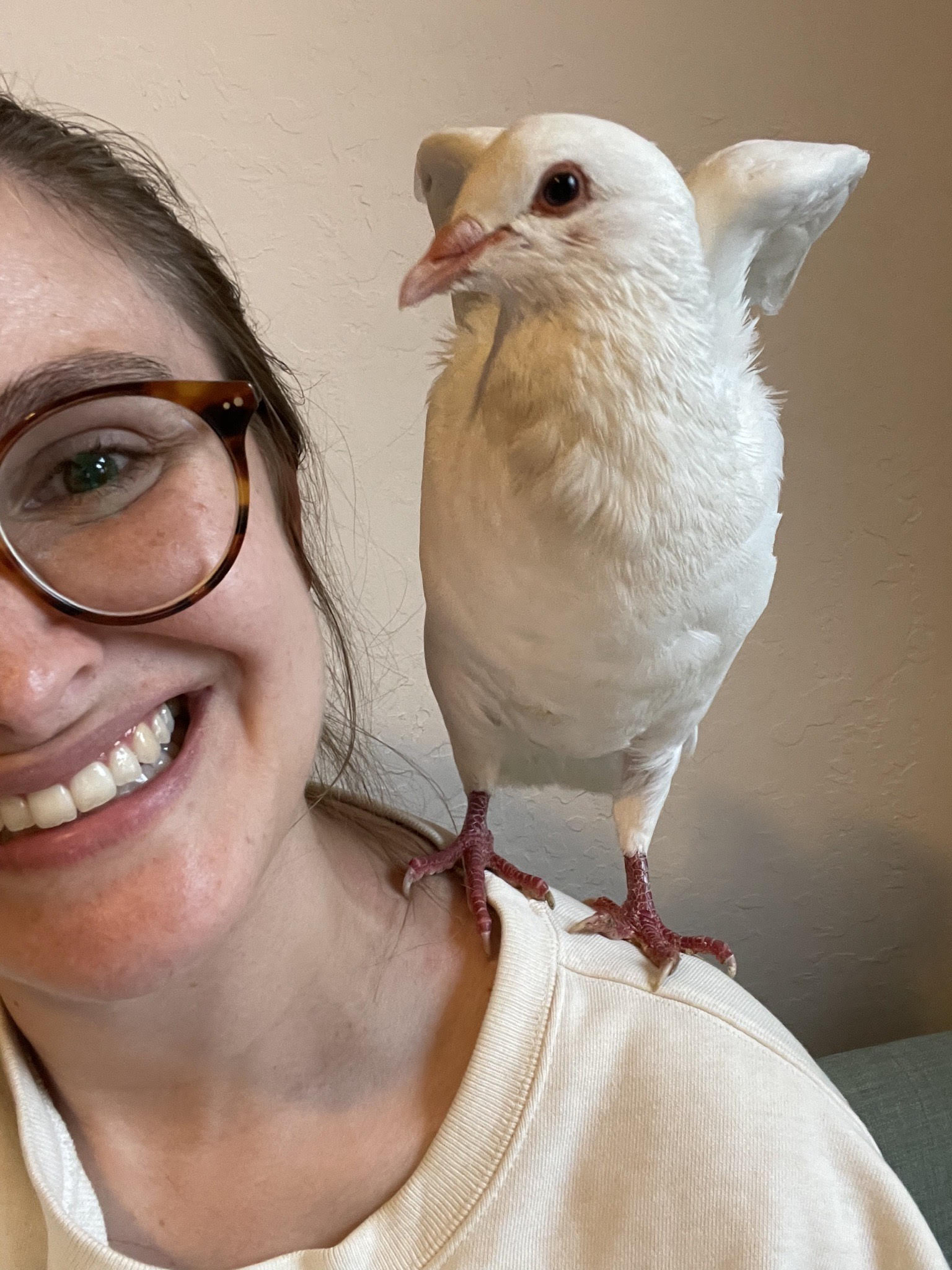 Dove with member of the Palomacy Pigeon & Dove Adoption