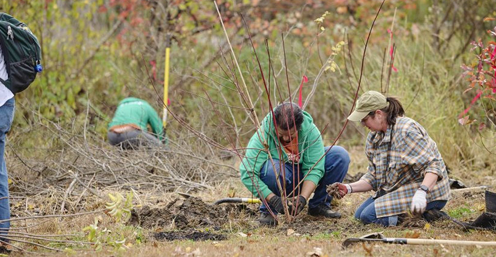 Volunteers planting trees with Fairmount Park Conservancy